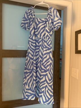 Blue and White Zebra Print Puff Sleeve Midi Dress